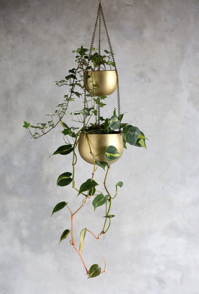 Hanging Brass Planter — Articulture Designs