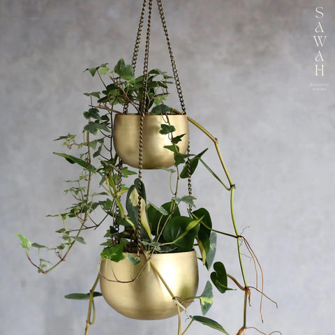 Double Tier Brass Hanging Planter
