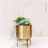 Stand By Me Brass Gold Planter Decor