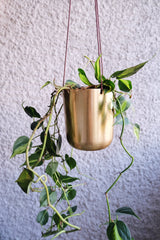Capsule Gold Hanging Planter - Lustere Living