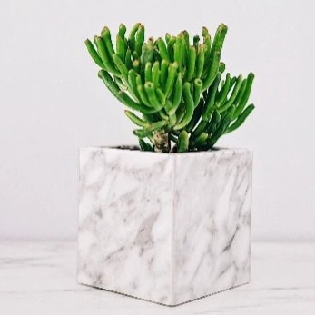 Casey Tall Marble Carrara Marble Succulent Pot - Lustere Living
