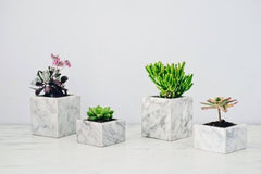 Casey Tall Marble Carrara Marble Succulent Pot - Lustere Living