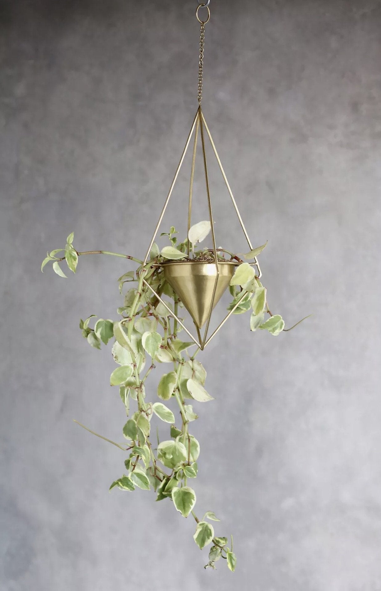 Celestial Diamond Brass Hanging Planter - Lustere Living