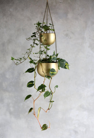 Double Tier Brass Hanging Planter - Lustere Living