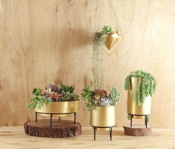 Jadore Gold Brass Planter Succulent Bowl - Lustere Living