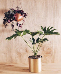 Large Handcrafted Polished Brass Round Table Planter - Lustere Living