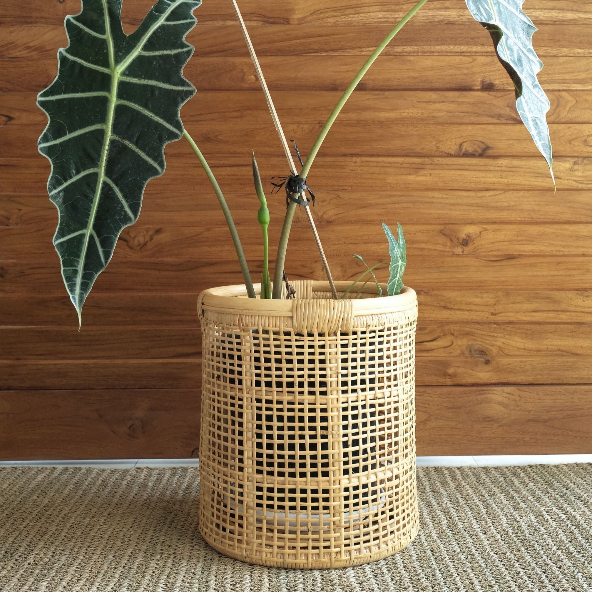Maya Large Cane Woven Round Rattan Planter Basket - Lustere Living