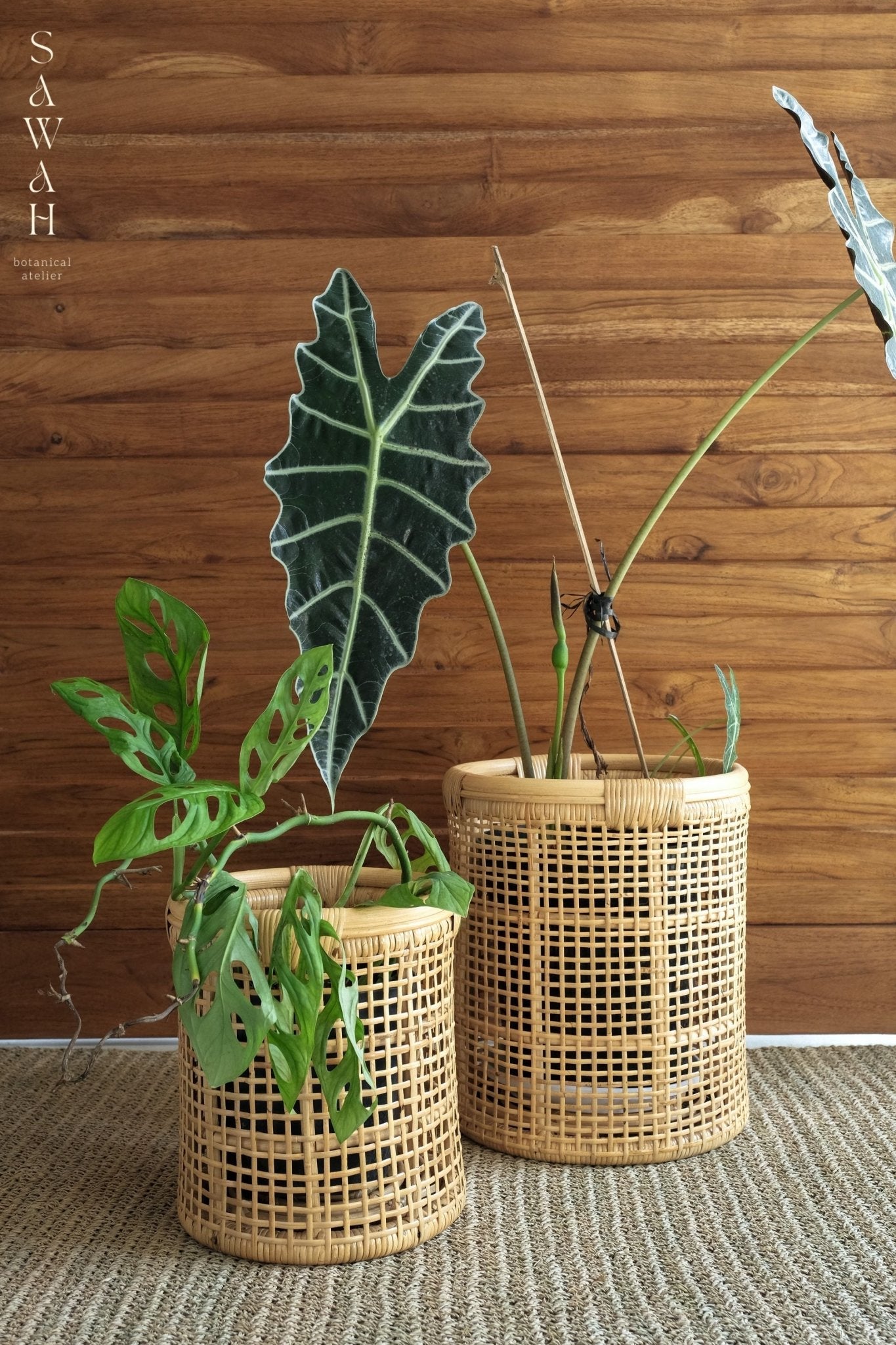 Maya Small Cane Woven Round Rattan Planter Basket - Lustere Living