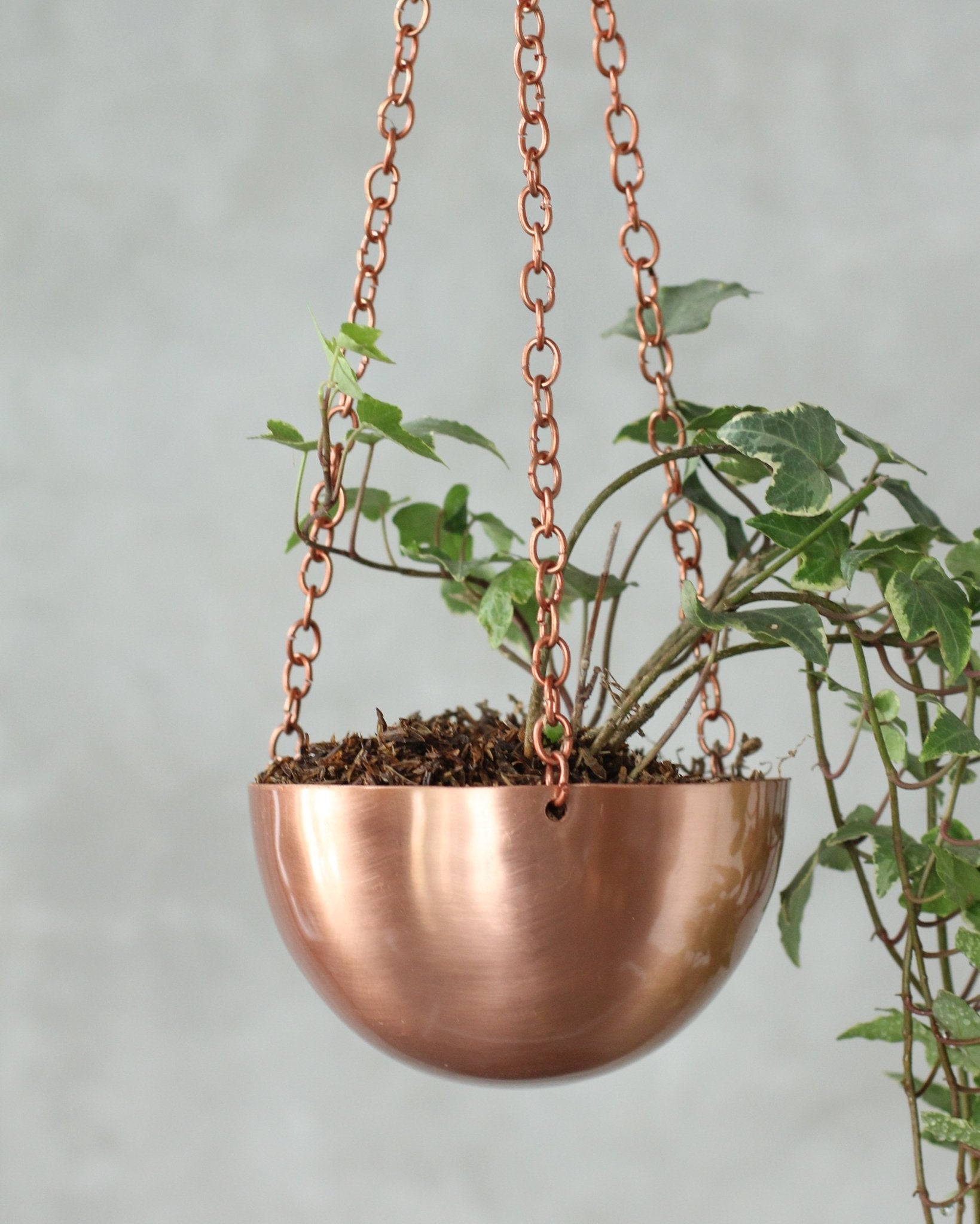 Mini Cooper Rose Gold Hanging Pot Planter - Lustere Living