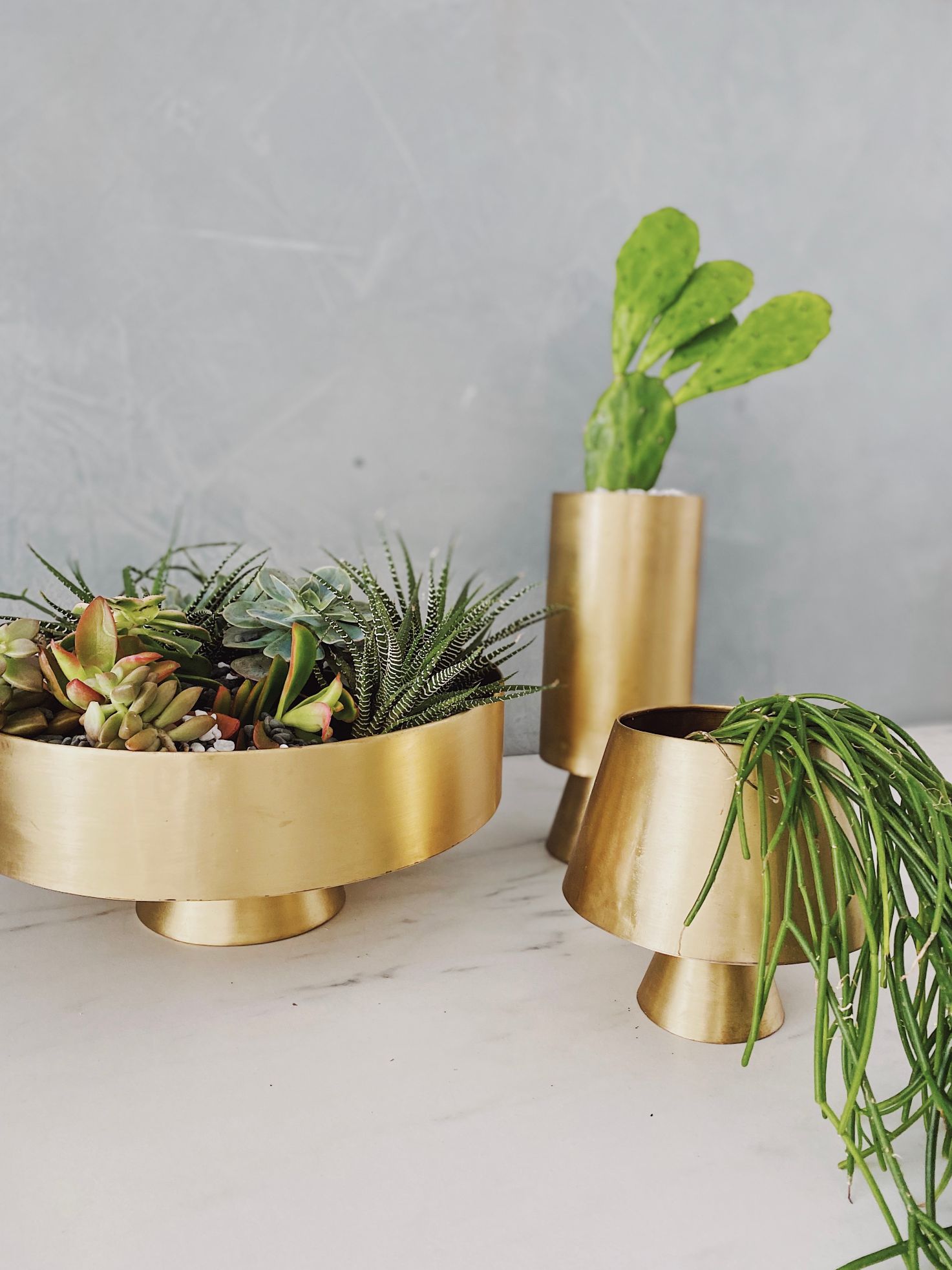 Rola Mid Century Shallow Cylinder Succulent Brass Bowl Vase - Lustere Living