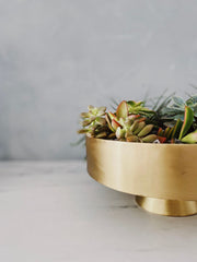 Rola Mid Century Shallow Cylinder Succulent Brass Bowl Vase - Lustere Living