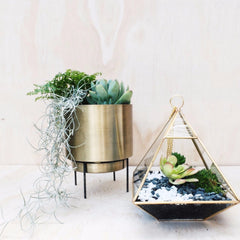 Stand By Me Brass Gold Planter Decor - Lustere Living