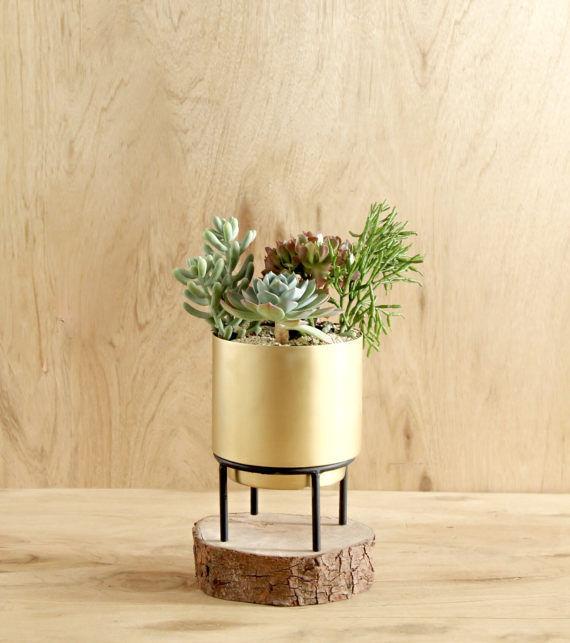 Stand By Me Brass Gold Planter Decor - Lustere Living