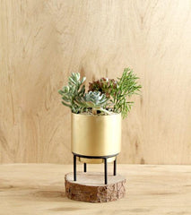 Stand By Me Brass Gold Planter Decor - Lustere Living