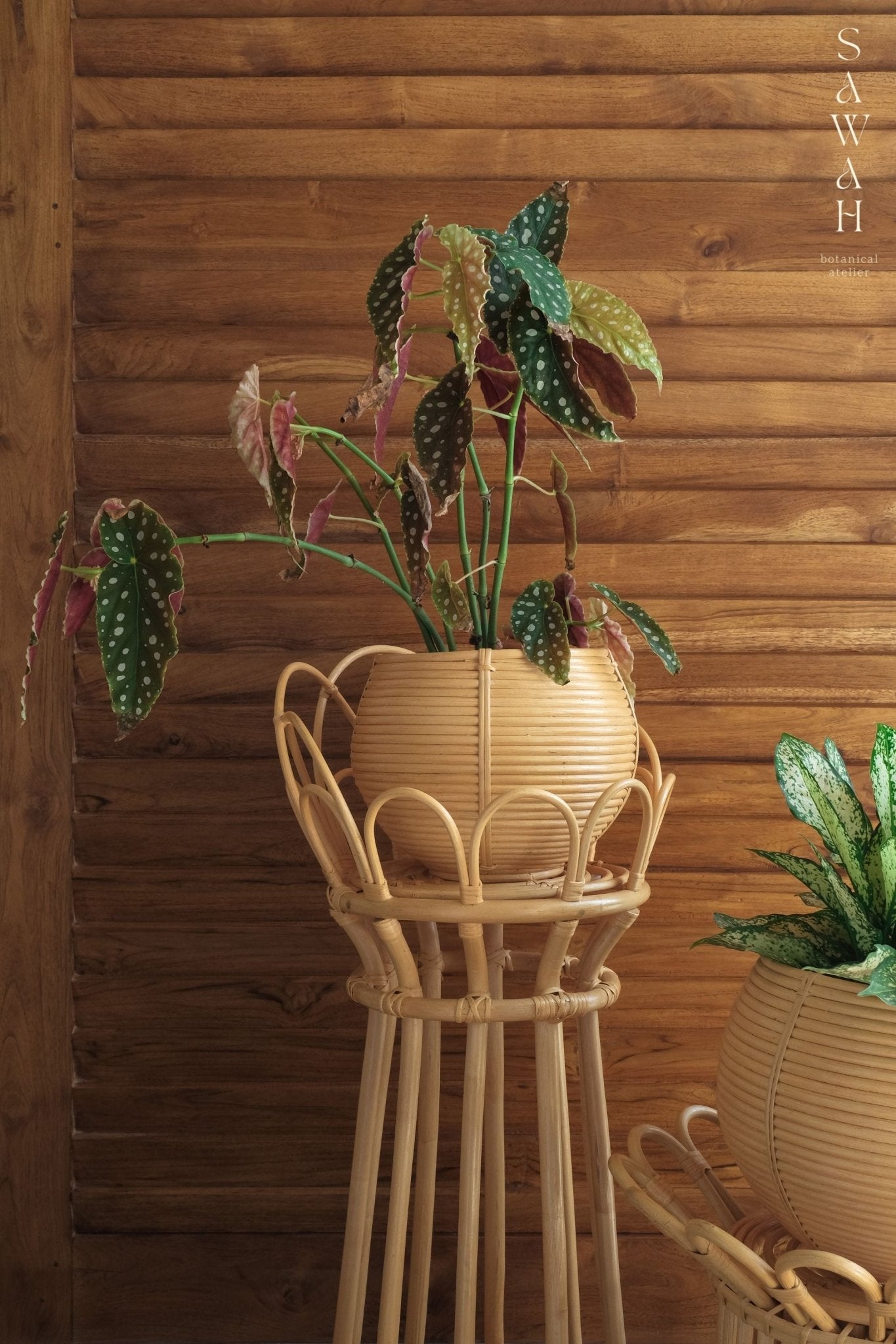 Uma Medium Rattan Round Planter Natural Wicker Basket - Lustere Living